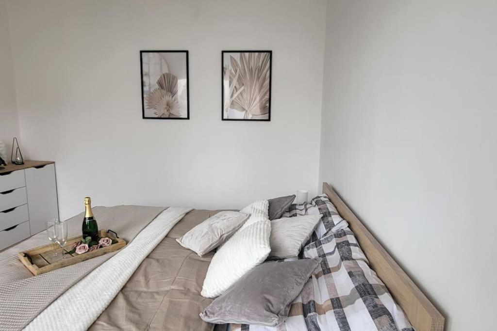 Utulny Byt V Centru Mesta Rychnov nad Kneznou Exteriér fotografie